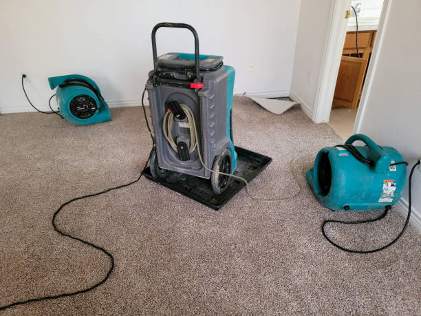 24/7 water damage repair in Tatum, TX