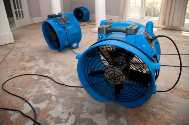 Best Professional water damage repair  in Tatum, TX