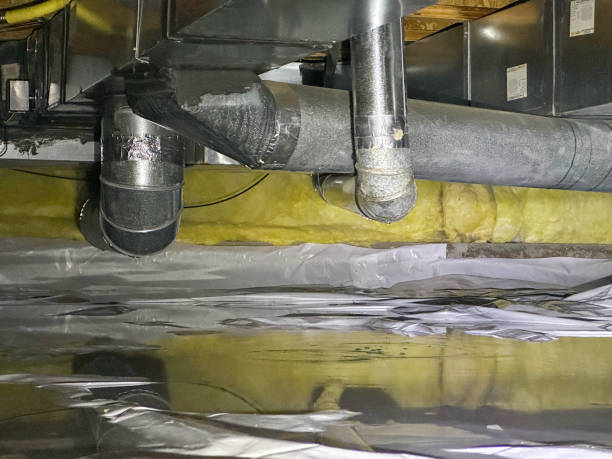 Best 24-hour water damage restoration  in Tatum, TX