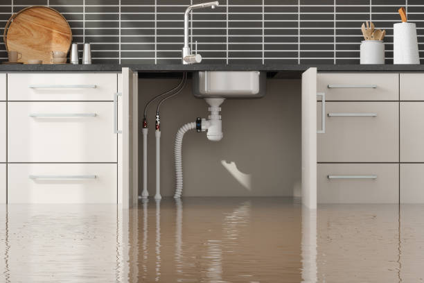 Best 24/7 water damage repair  in Tatum, TX